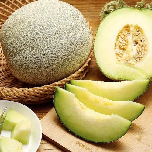 胖木鱼吃蜜瓜视频大全集,视频大全集精彩回顾