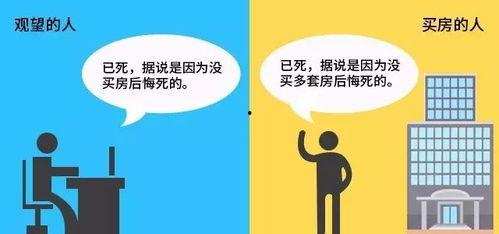 吃瓜看戏买房视频大全集,全景式揭秘房产投资与娱乐生活