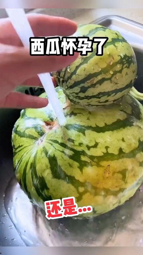 吃瓜视频搞笑配音幼儿,吃瓜视频里的搞笑幼儿配音盛宴