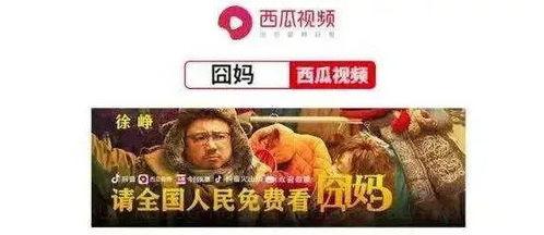 吃瓜大学生过年视频在哪看,吃瓜大学生过年视频观看攻略