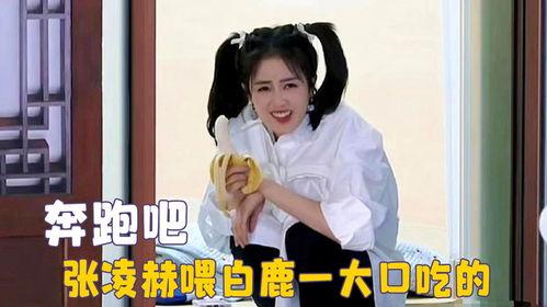 白鹿吃瓜现场视频大全集,全程回顾，笑料百出