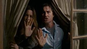 狼人吃瓜的视频,揭秘神秘事件背后的真相