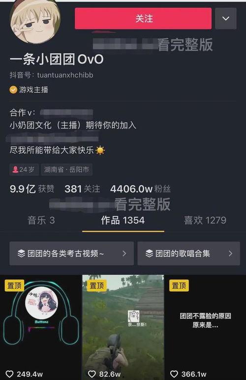 一只小团团吃瓜视频,趣味视频背后的故事