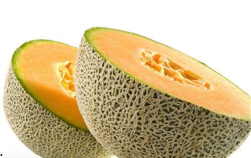 捡哈密瓜给爸爸吃视频在线观看,亲子共享哈密瓜的美好时光