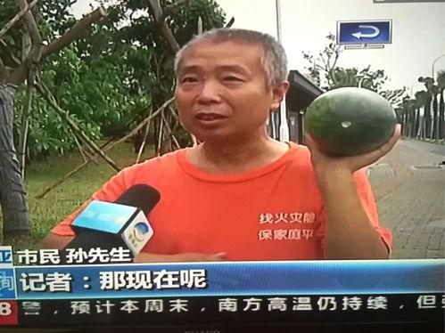 成都新闻吃瓜群众视频,吃瓜群众视角下的视频盘点