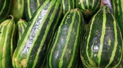 花梢瓜怎么吃才好吃呢视频,视频教你如何烹饪出最佳口感