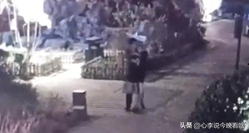 兰州吃瓜视频最全观看,全方位揭秘兰州美食盛宴