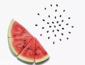 吃瓜吐籽特效怎么做视频,轻松制作“吃瓜吐籽特效”视频教程