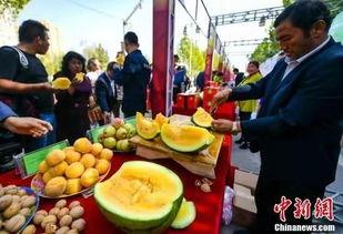 湖北咸丰最新吃瓜视频,最新视频揭秘当地生活百态