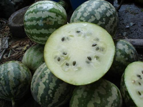 沙土瓜怎么吃最好吃视频,视频教你如何吃出最佳口感