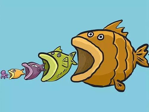 吃瓜和小鱼怪打在一起的视频,一场爆笑的视觉盛宴