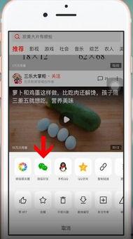 吃瓜视频怎么分享给好友,教你如何将吃瓜视频分享给好友