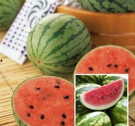 四川人喜欢吃洋瓜吗视频,传统美食与现代口味的碰撞