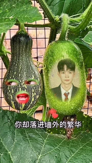 吃瓜小孩子特效视频大全,吃瓜小孩子的特效视频盛宴